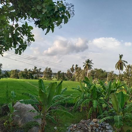 Gopi Plantation Homestay Hampi Exteriör bild
