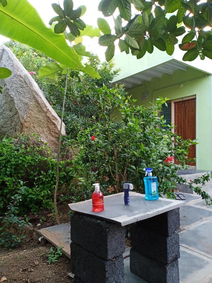 Gopi Plantation Homestay Hampi Exteriör bild