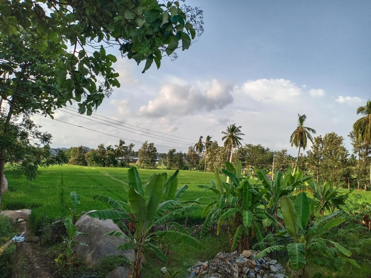 Gopi Plantation Homestay Hampi Exteriör bild