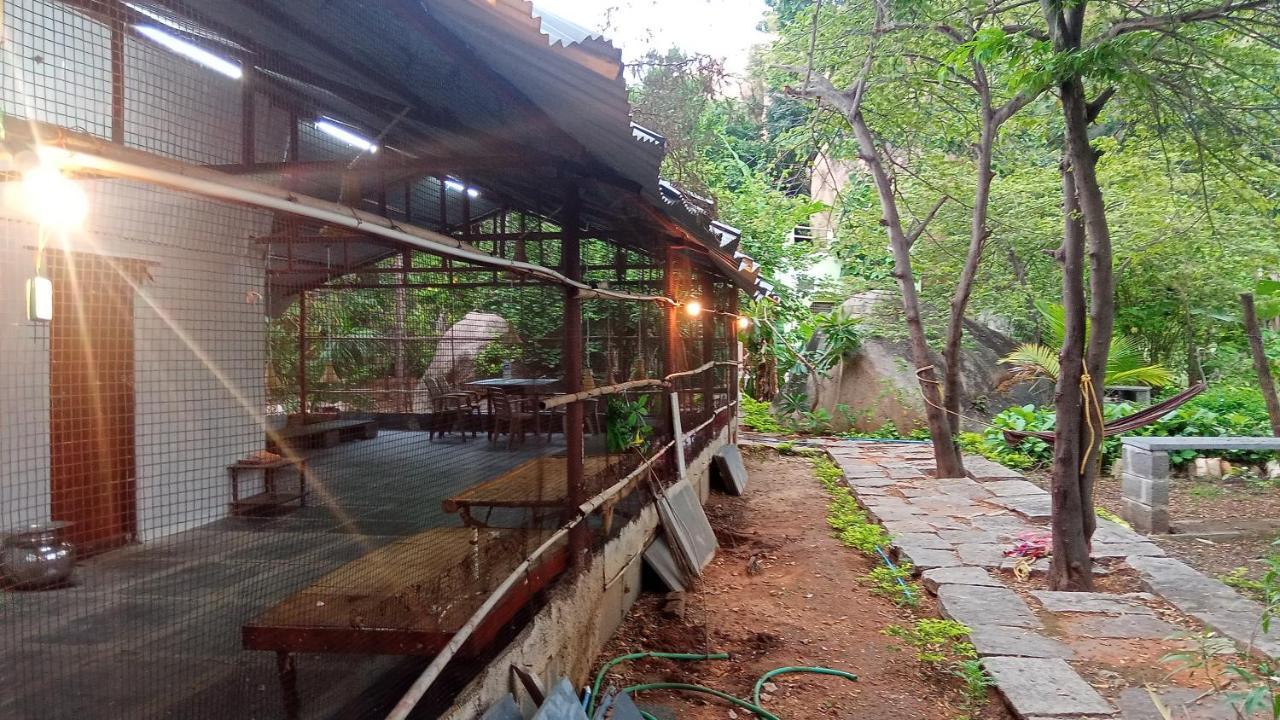 Gopi Plantation Homestay Hampi Exteriör bild