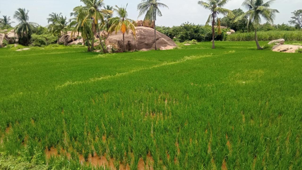 Gopi Plantation Homestay Hampi Exteriör bild