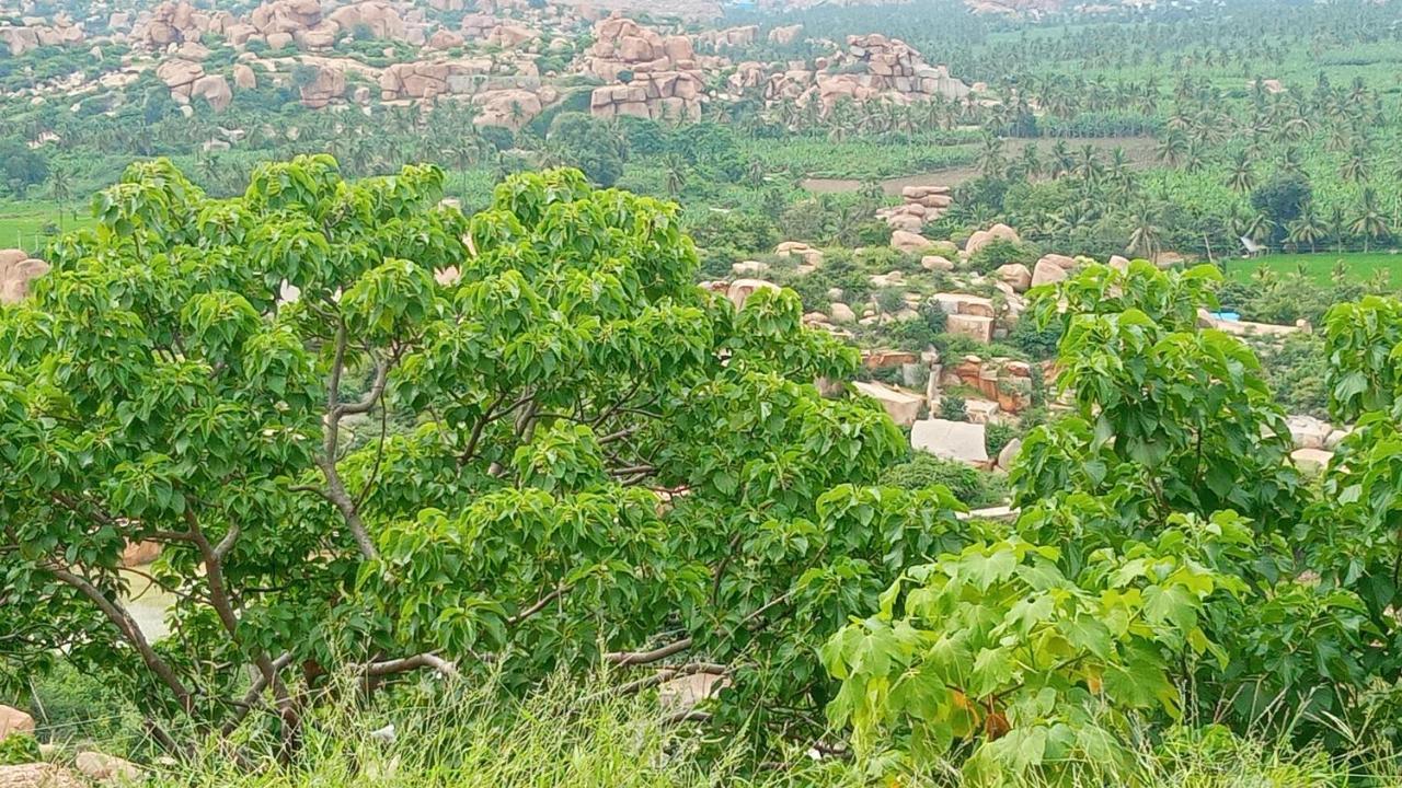 Gopi Plantation Homestay Hampi Exteriör bild