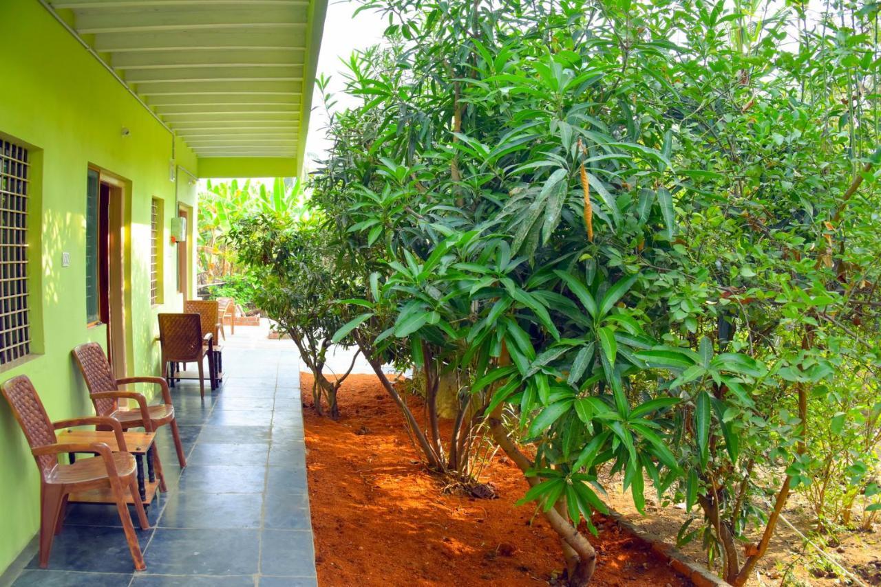 Gopi Plantation Homestay Hampi Exteriör bild