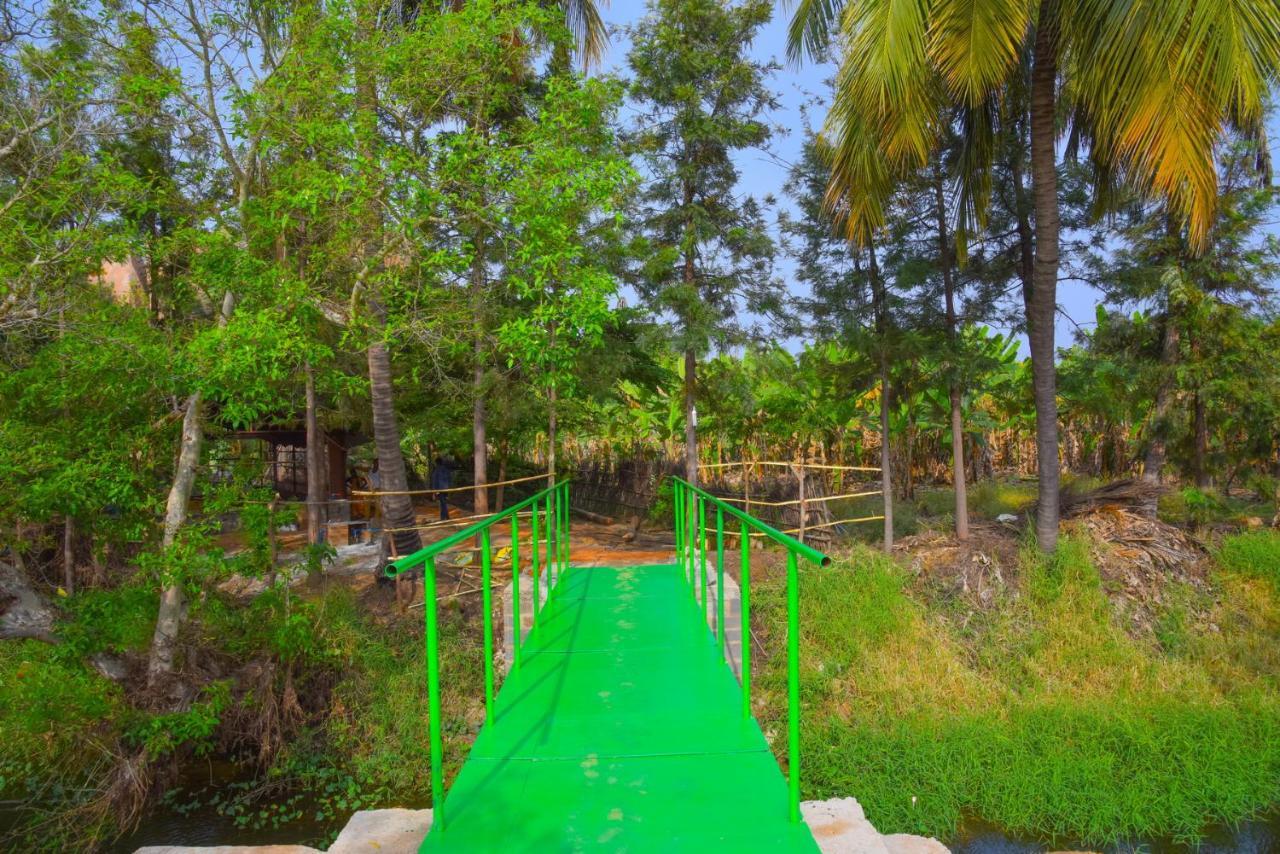 Gopi Plantation Homestay Hampi Exteriör bild